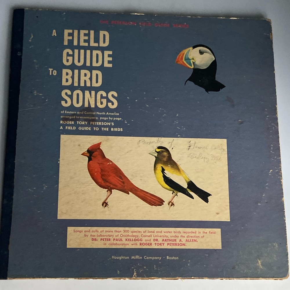 Field Guide to Bird Song on Vinyl